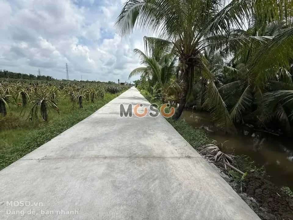 Bán đất Ấp Hòa Phú 1 Huyện Châu Thành, Long An – giá 690 triệu - ảnh 2