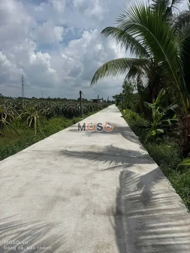 Bán đất Ấp Hòa Phú 1 Huyện Châu Thành, Long An – giá 690 triệu - ảnh 3