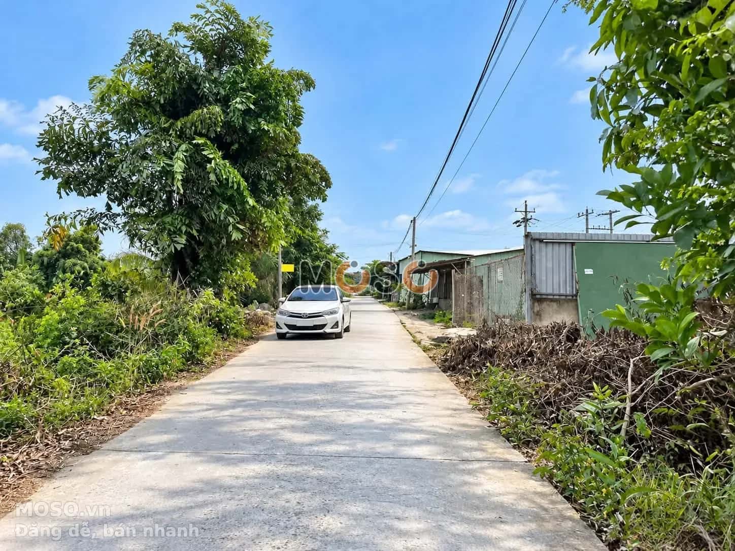 Bán đất ấp Bà Mía Huyện Thủ Thừa, Long An – giá 590 triệu - ảnh 2