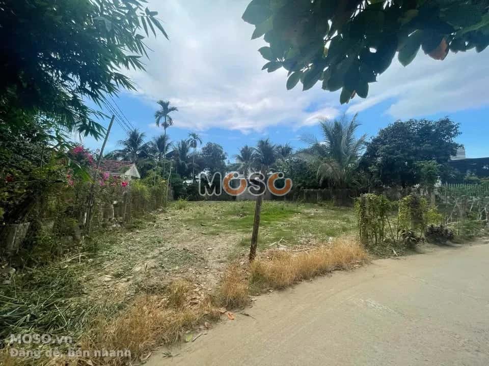 Bán đất Thôn 2   Huyện Diên Khánh, Khánh Hòa – giá 3 tỷ - ảnh 2