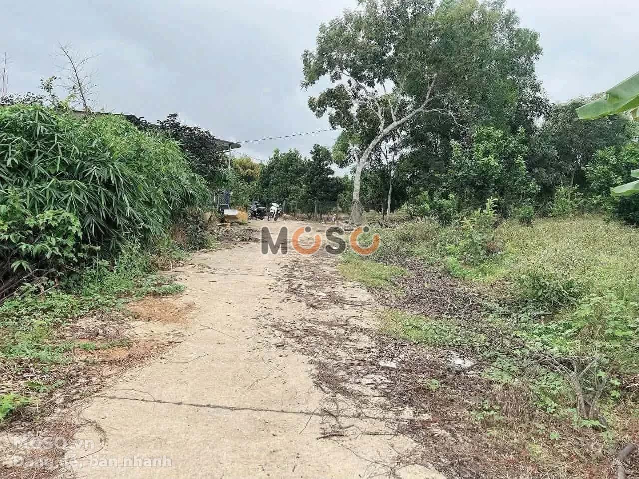 Bán đất Thôn Hòn Dù Huyện Khánh Vĩnh, Khánh Hòa – giá 599 triệu - ảnh 3