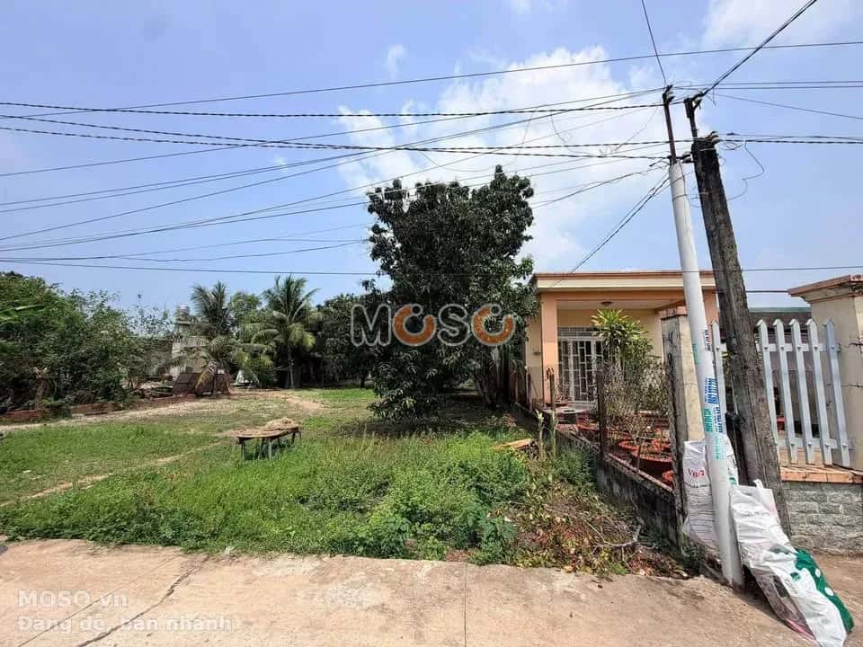 Bán đất Ô 1, KP Thanh Bình A  Huyện Gò Dầu, Tây Ninh – giá 830 triệu - ảnh 1