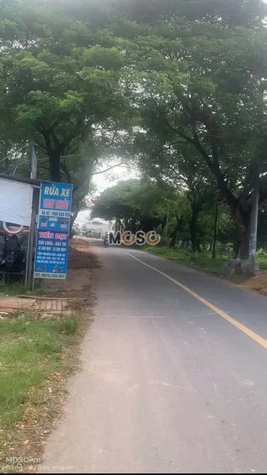 Bán đất Ấp Cây Xoài, đường Cây Me  Huyện Gò Dầu, Tây Ninh – giá 1.1 tỷ - ảnh 2