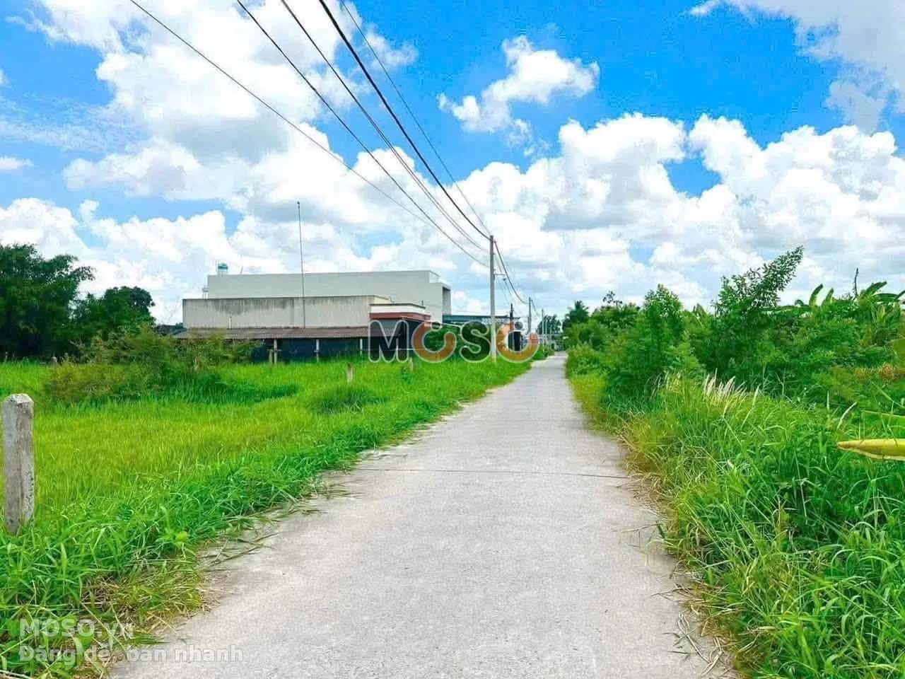 Bán đất Hẻm Lê Văn Khuyên Thành phố Tân An, Long An – giá 780 triệu - ảnh 2