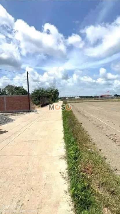 Bán đất Quốc Lộ N2 Huyện Đức Hòa, Long An – giá 2.6 tỷ - ảnh 3