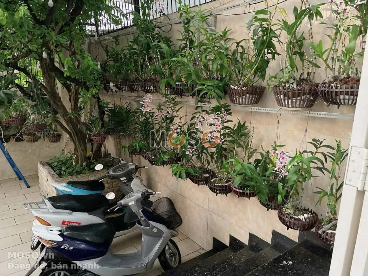 Bán nhà hẻm Quách Văn Tuấn Quận Tân Bình, TP.HCM – giá 69 tỷ - ảnh 2