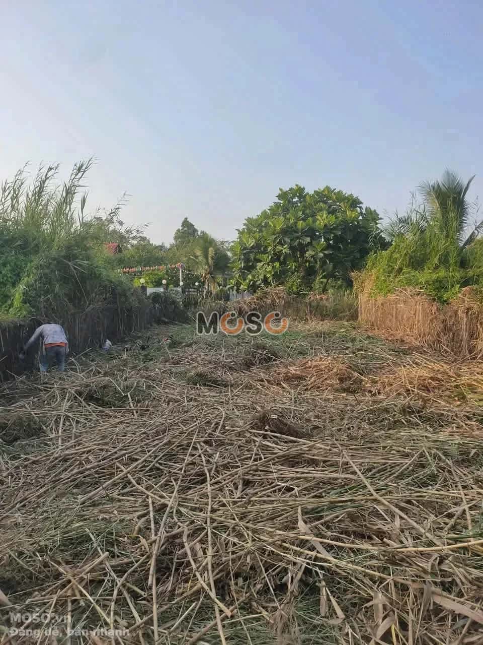 Bán đất hẻm Bùi Tấn Thành phố Tân An, Long An – giá 630 triệu - ảnh 2