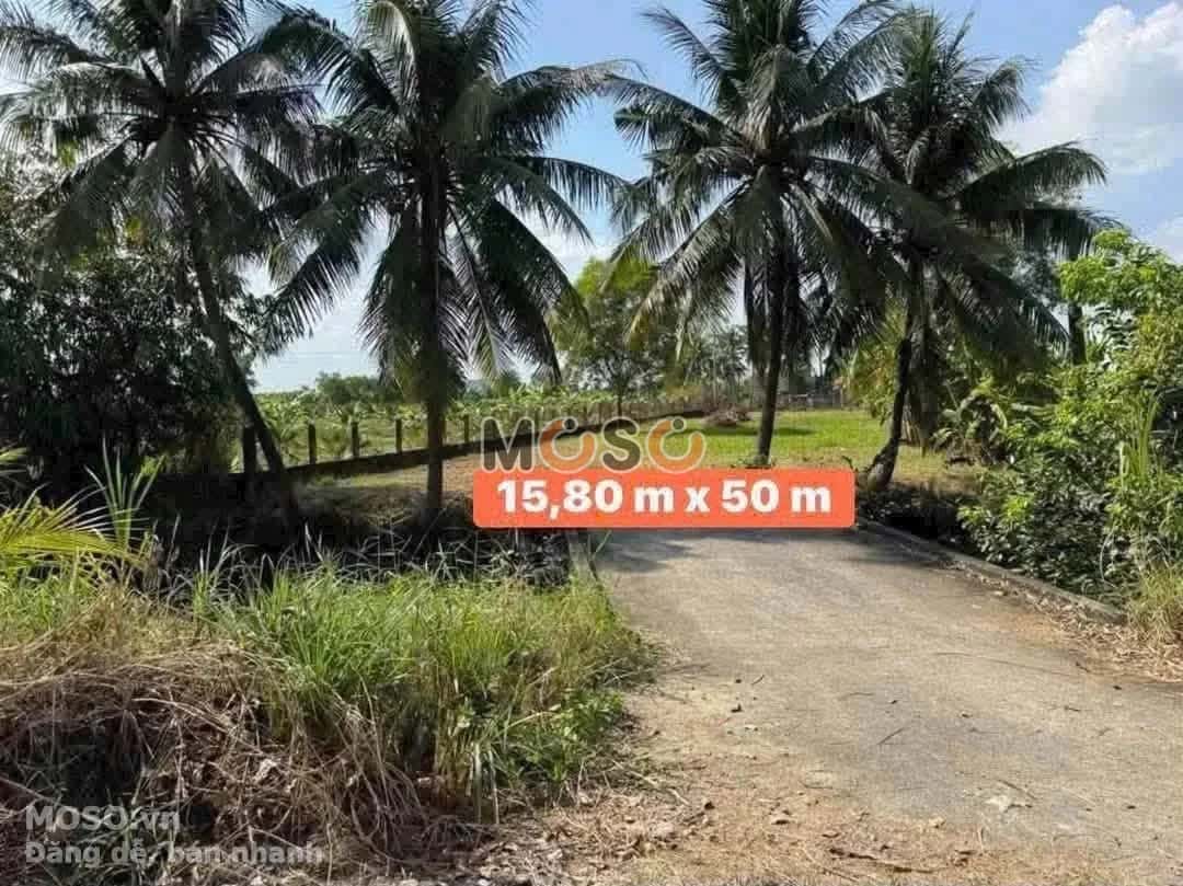 Bán đất Đỗ Văn Giàu Thành phố Tân An, Long An – giá 4.8 tỷ - ảnh 2