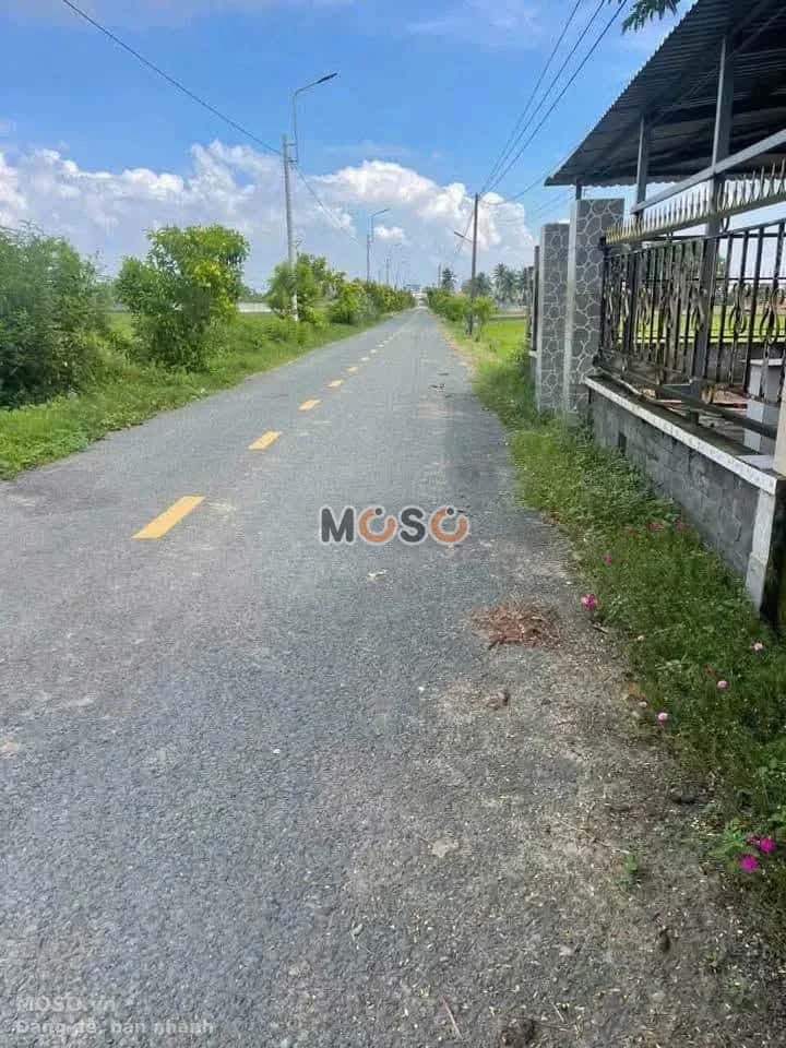 Bán đất đường Chợ Mỹ Huyện Cần Đước, Long An – giá 1.5 tỷ - ảnh 3