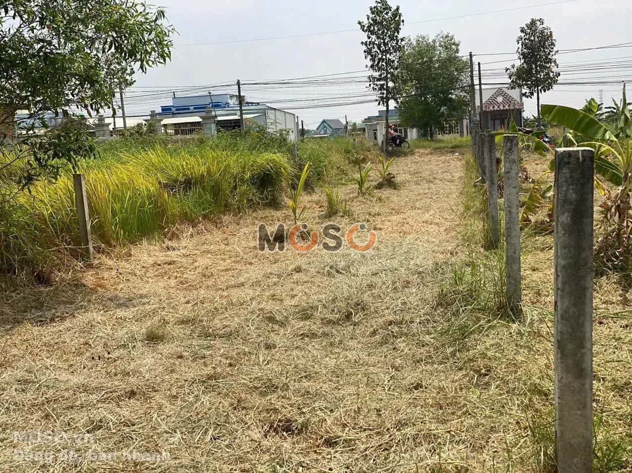 Bán đất đường Huyện 19 Huyện Cần Đước, Long An – giá 2.2 tỷ - ảnh 1