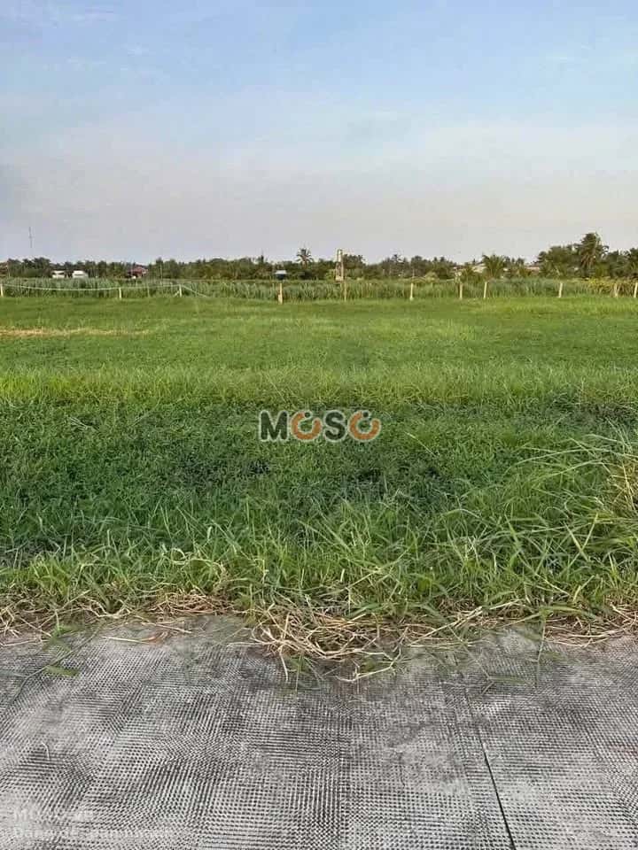 Bán đất Ấp Phú Xuân 2  Huyện Châu Thành, Long An – giá 460 triệu - ảnh 1
