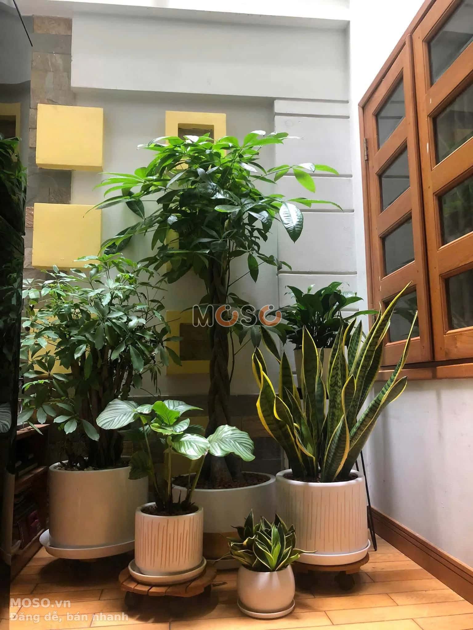 Bán nhà hẻm Nguyễn Thái Bình Quận Tân Bình, TP.HCM – giá 19 tỷ - ảnh 5