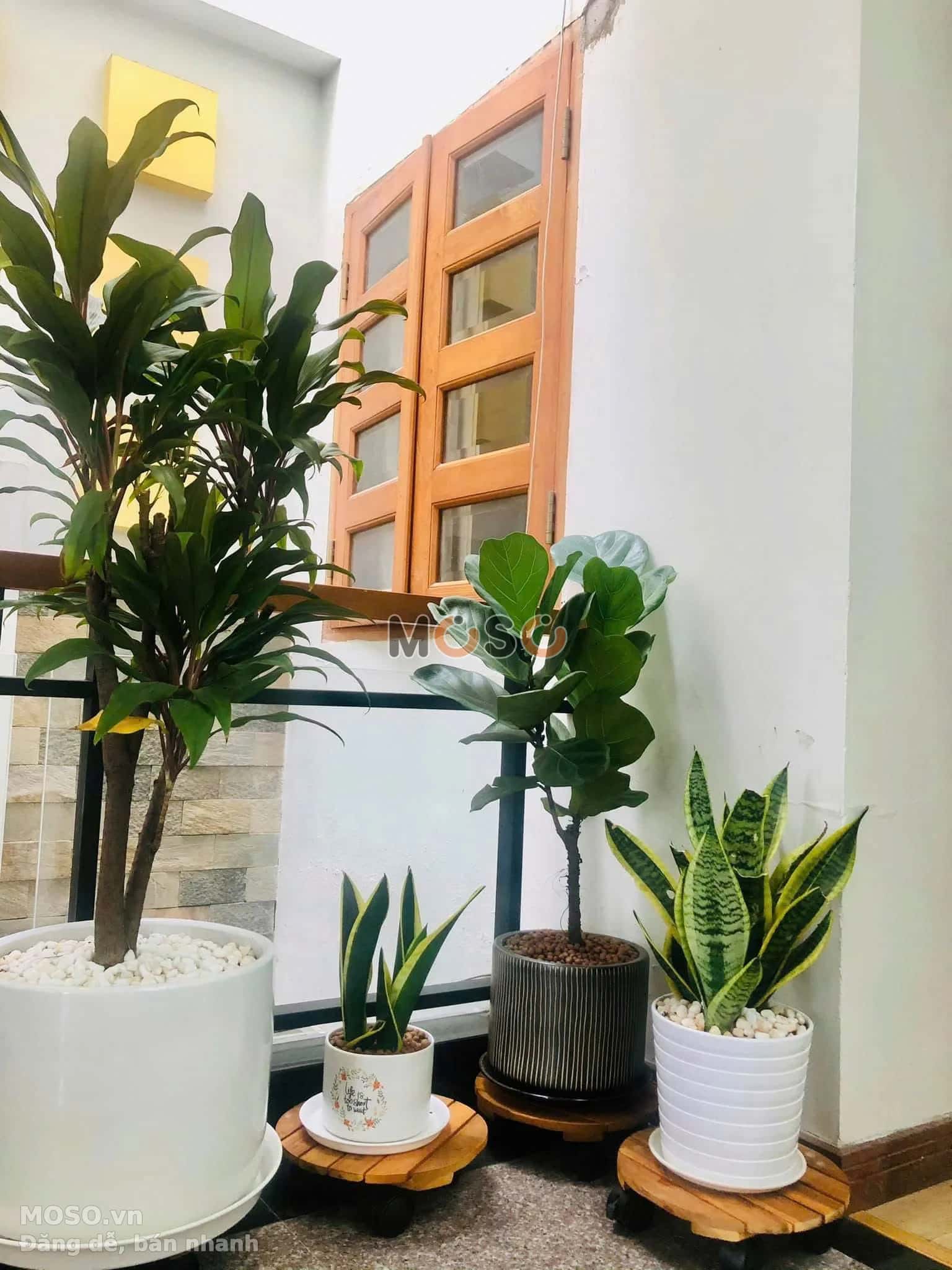 Bán nhà hẻm Nguyễn Thái Bình Quận Tân Bình, TP.HCM – giá 19 tỷ - ảnh 3