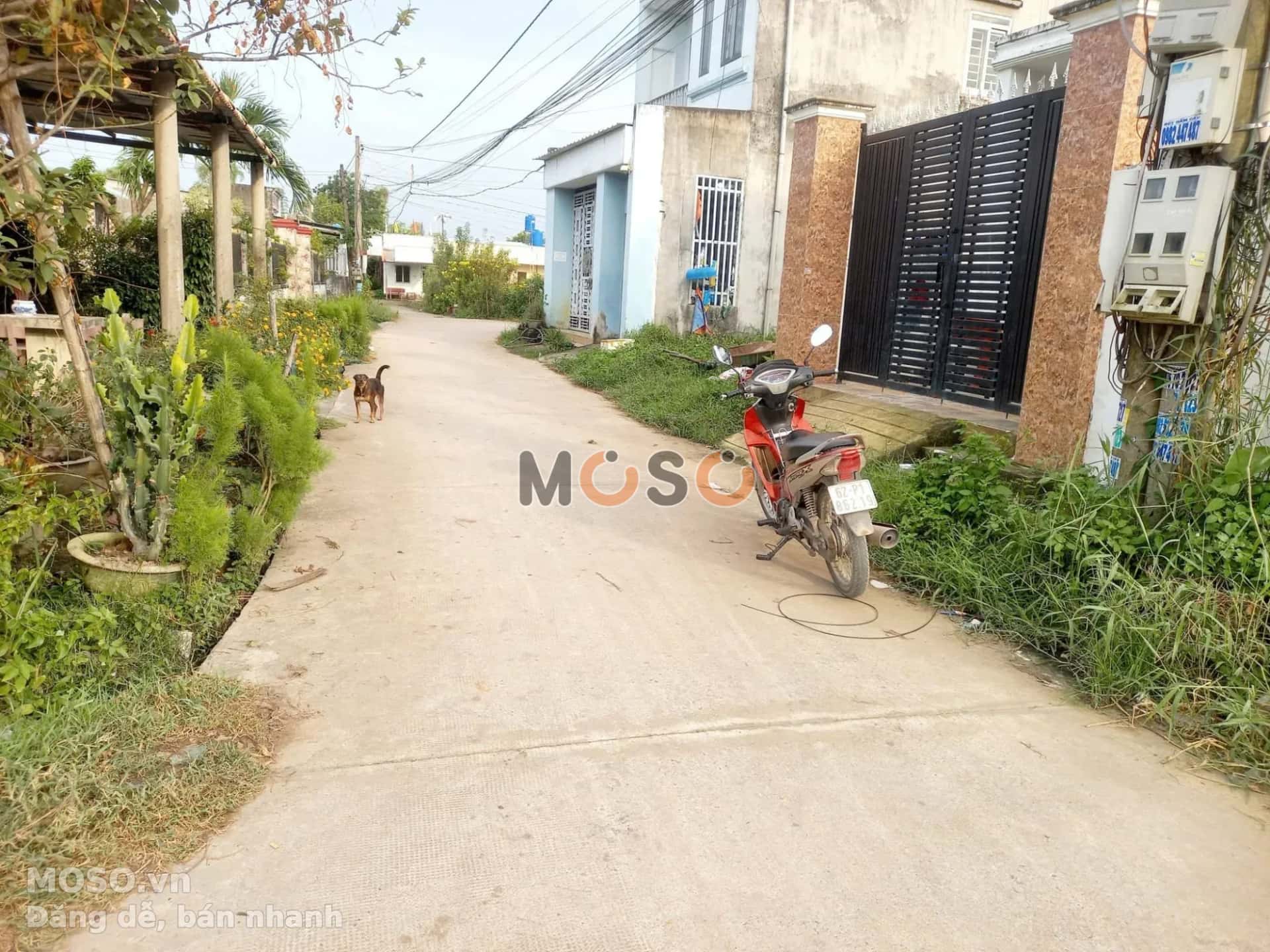 Bán đất Ấp 3 Huyện Đức Hòa, Long An – giá 1.3 tỷ - ảnh 1