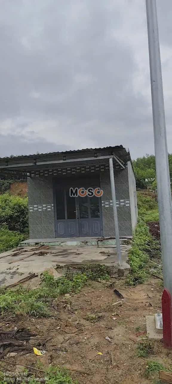 Bán đất Thôn Ba Cảng, Đường Tỉnh lộ 8C Huyện Khánh Vĩnh, Khánh Hòa – giá 299 triệu - ảnh 1