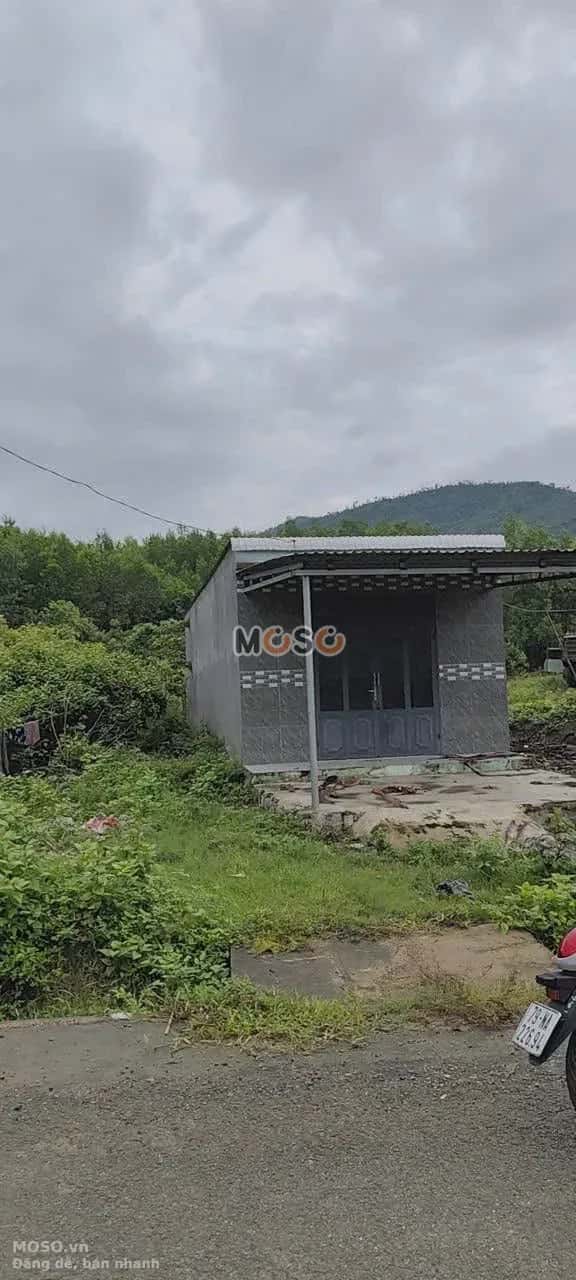 Bán đất Thôn Ba Cảng, Đường Tỉnh lộ 8C Huyện Khánh Vĩnh, Khánh Hòa – giá 299 triệu - ảnh 2