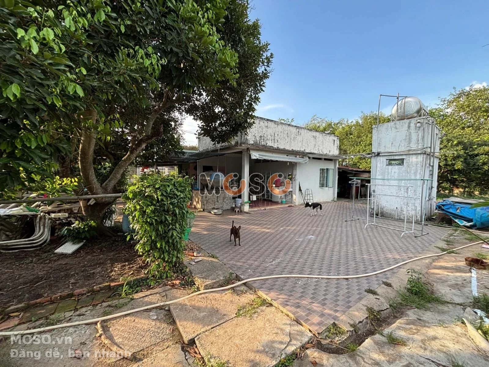 Bán đất Nguyễn Văn Khạ Huyện Củ Chi, TP.HCM – giá 19 tỷ - ảnh 5