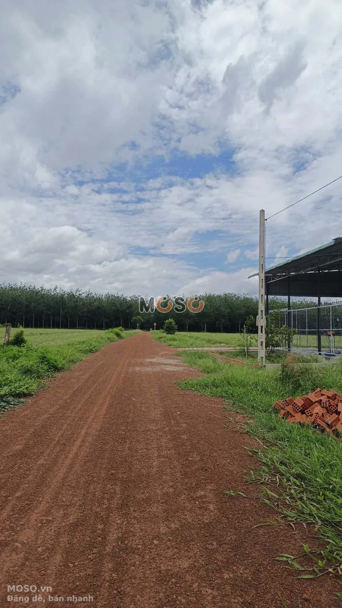 Bán đất ấp 5, đường SDA.26 Huyện Tân Châu, Tây Ninh – giá 799 triệu - ảnh 2