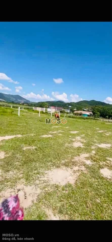 Bán đất thôn Hòn Dù Huyện Khánh Vĩnh, Khánh Hòa – giá 185 triệu - ảnh 2