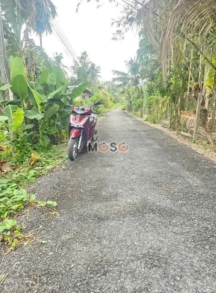 Bán đất Khu vực Trường Hòa Quận Ô Môn, TP. Cần Thơ – giá 450 triệu - ảnh 3