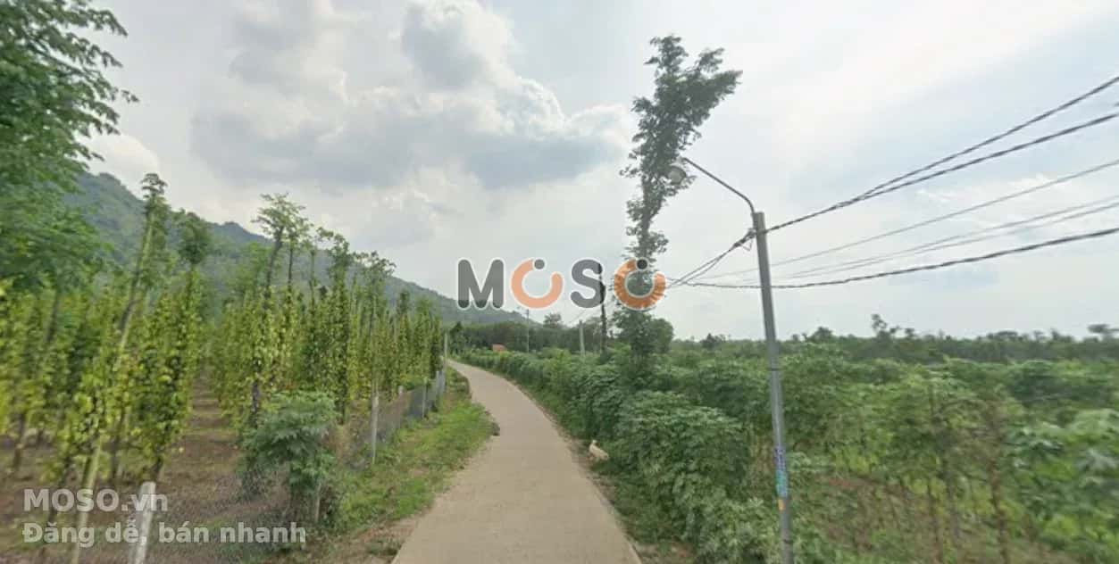 Bán đất Suối Đá Trung Sơn Huyện Xuân Lộc, Đồng Nai – giá 4.7 tỷ - ảnh 3
