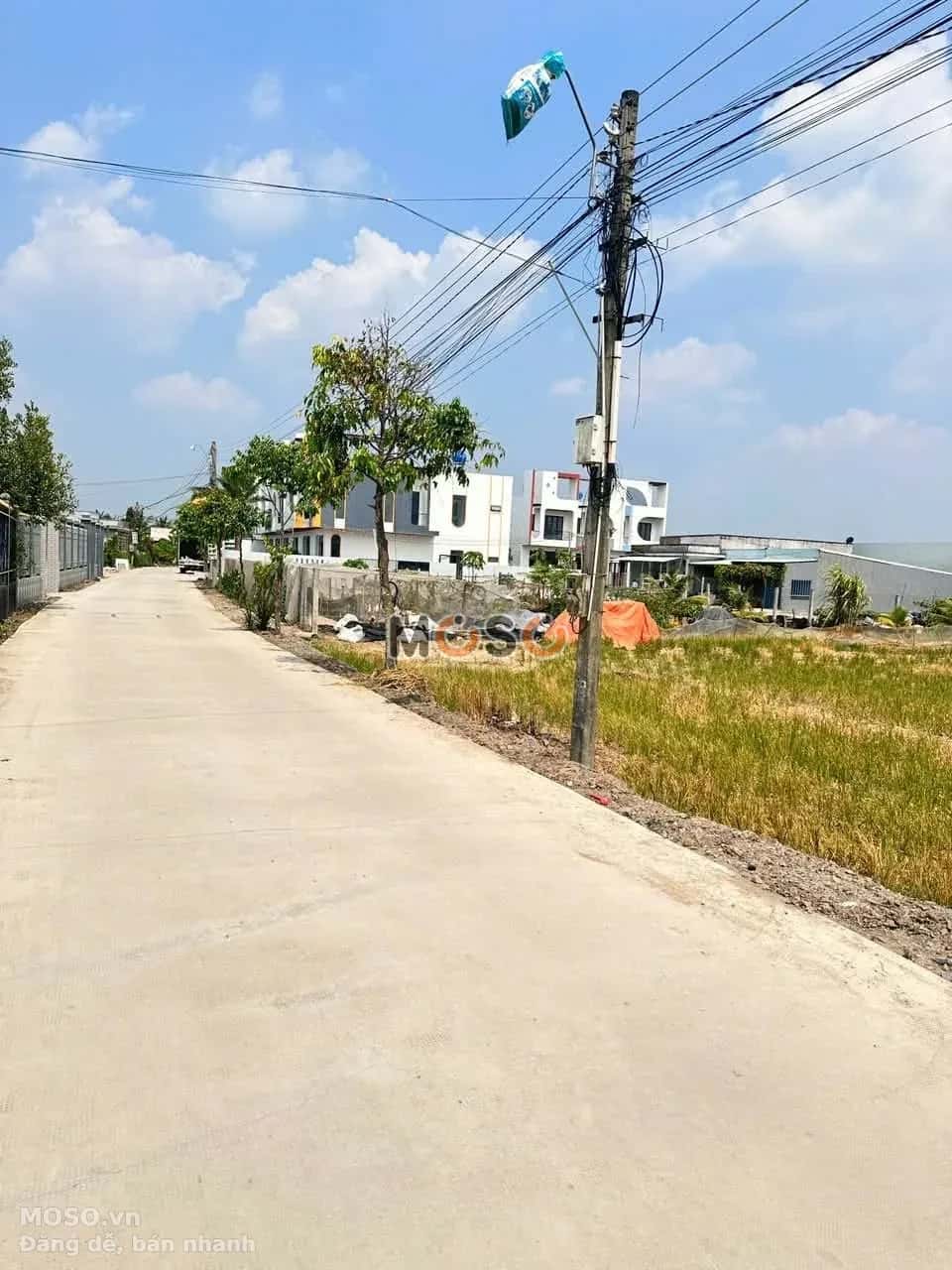 Bán đất Ấp 3 Huyện Cần Đước, Long An – giá 4 tỷ - ảnh 3