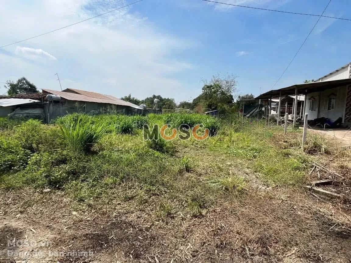 Bán đất Ấp Bến Đình Huyện Củ Chi, TP.HCM – giá 3.9 tỷ - ảnh 1