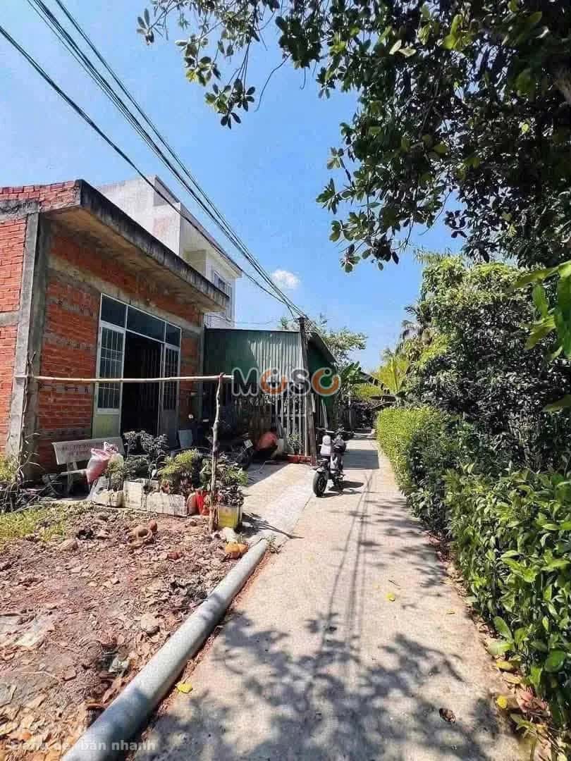 Bán đất hẻm Huỳnh Châu Sổ Thành phố Tân An, Long An – giá 560 triệu - ảnh 3