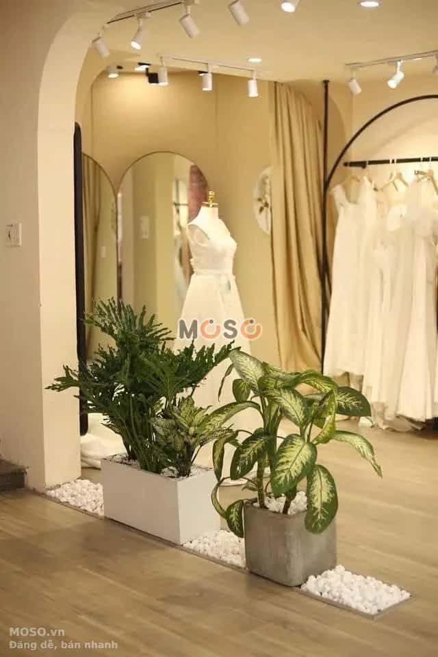Bán nhà mặt tiền Đặng Tử Kính Quận Hải Châu, TP. Đà Nẵng – 4 phòng ngủ, giá 14 tỷ - ảnh 7
