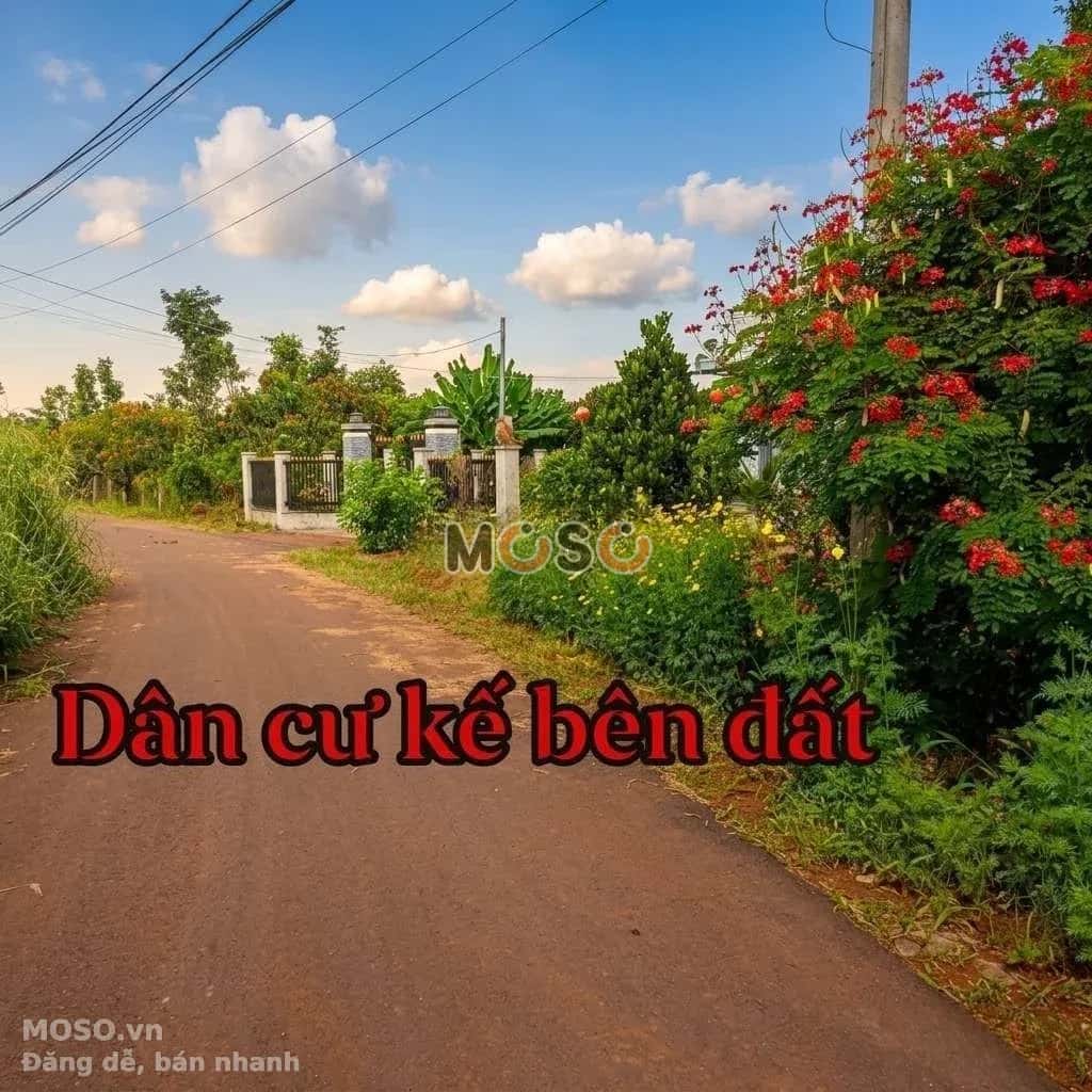 Bán đất đường Láng Lớn - Kim Long Huyện Châu Đức, BRVT – giá 650 triệu - ảnh 3