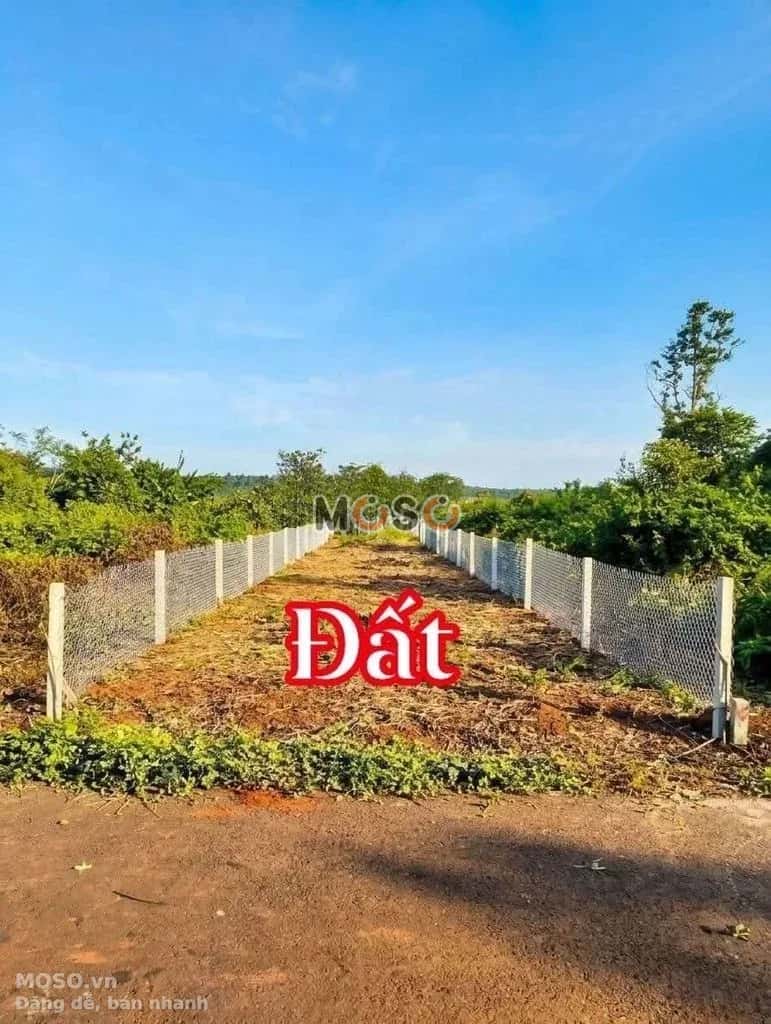 Bán đất đường Láng Lớn - Kim Long Huyện Châu Đức, BRVT – giá 650 triệu - ảnh 1
