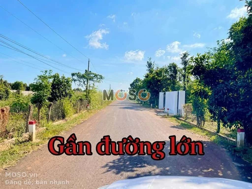 Bán đất đường Láng Lớn - Kim Long Huyện Châu Đức, BRVT – giá 650 triệu - ảnh 2