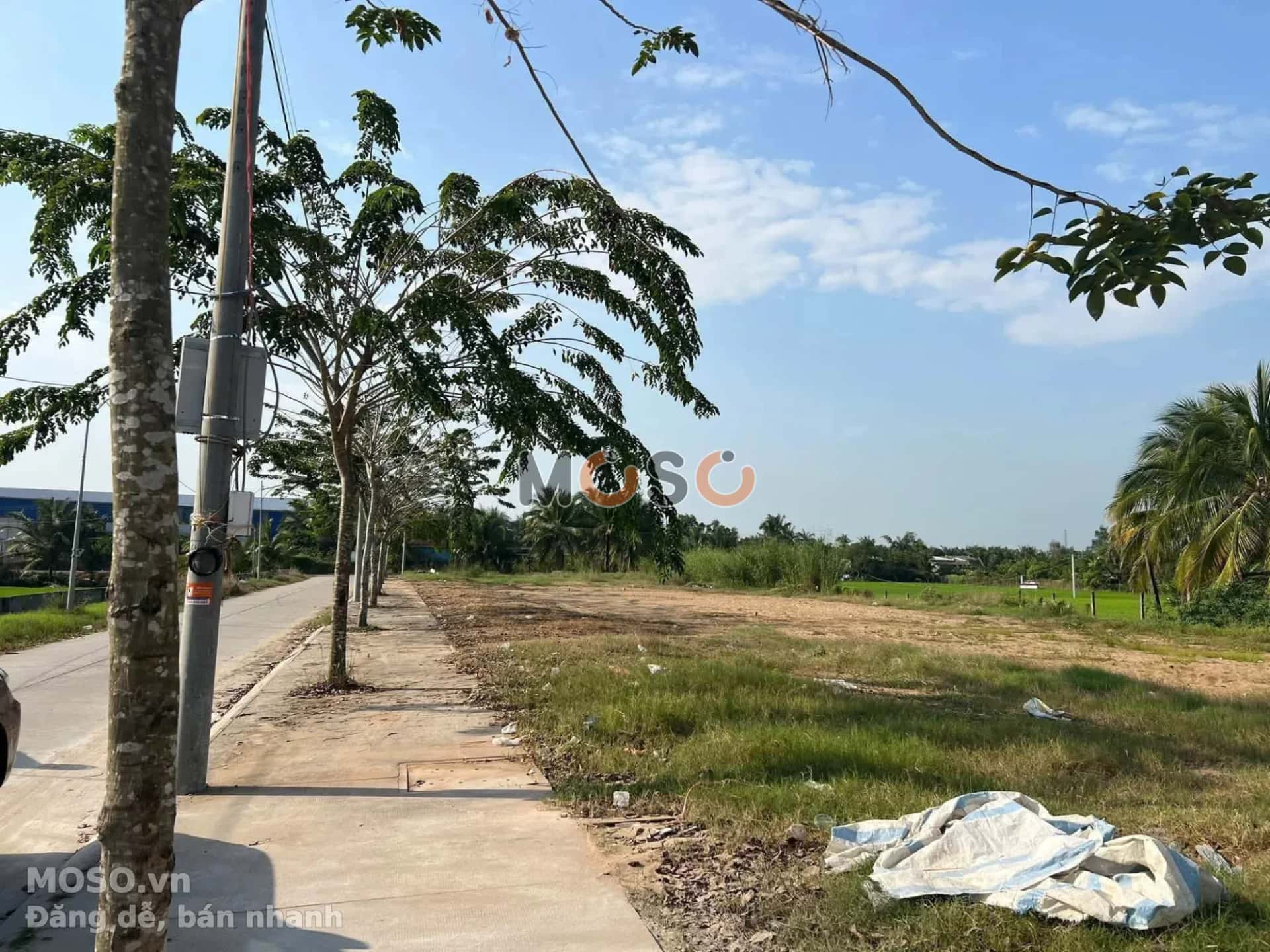 Bán đất Áp 3 Huyện Thủ Thừa, Long An – giá 1.2 tỷ - ảnh 1