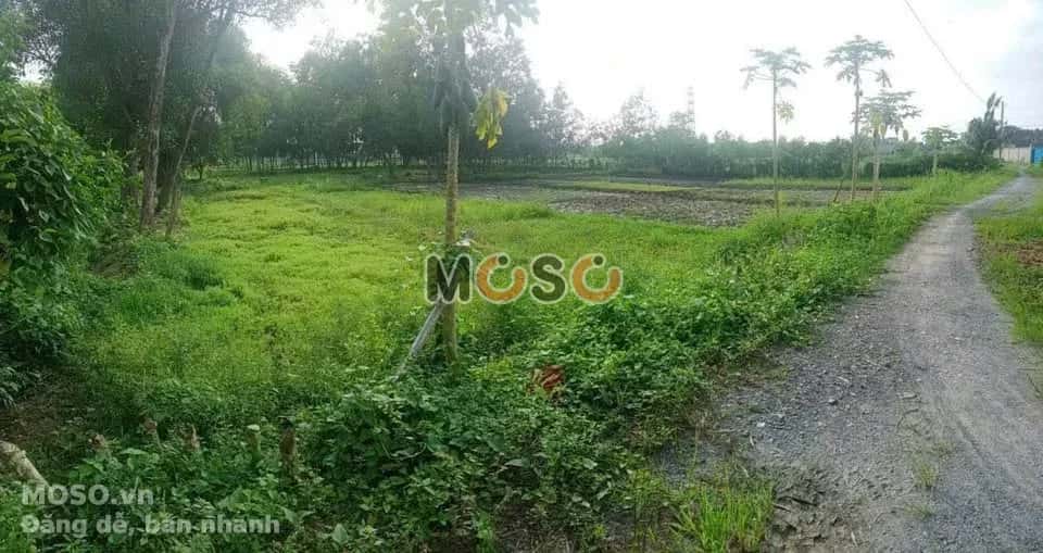 Bán đất hẻm đường Nguyễn Thị Nê Huyện Củ Chi, TP.HCM – giá 2.5 tỷ - ảnh 1