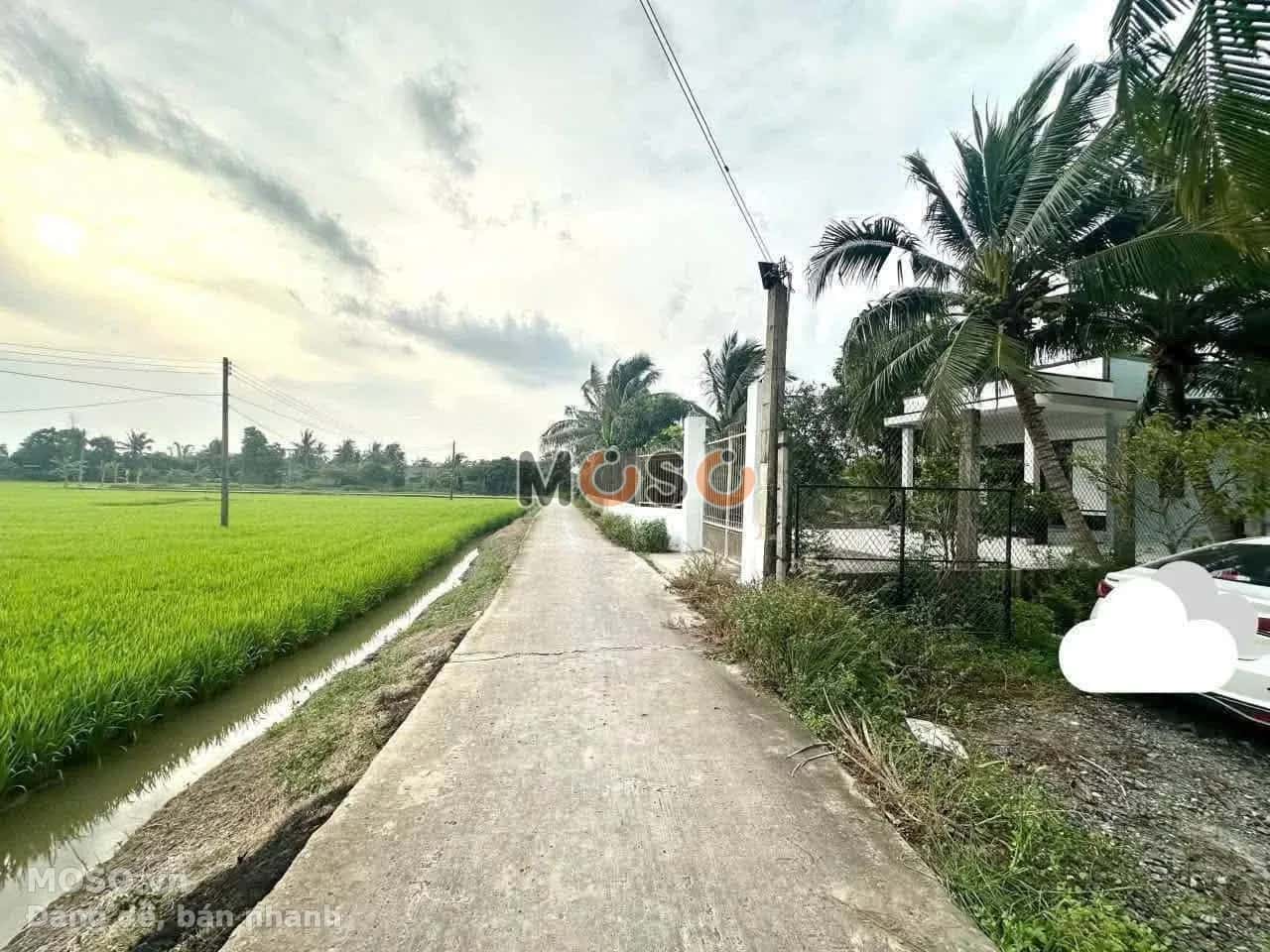 Bán đất Ấp 1 Huyện Thủ Thừa, Long An – giá 700 triệu - ảnh 3