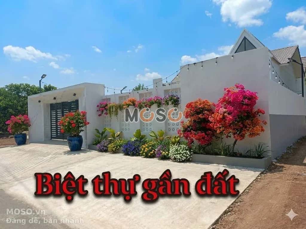 Bán đất hẻm đường QL56 Huyện Châu Đức, BRVT – giá 550 triệu - ảnh 3