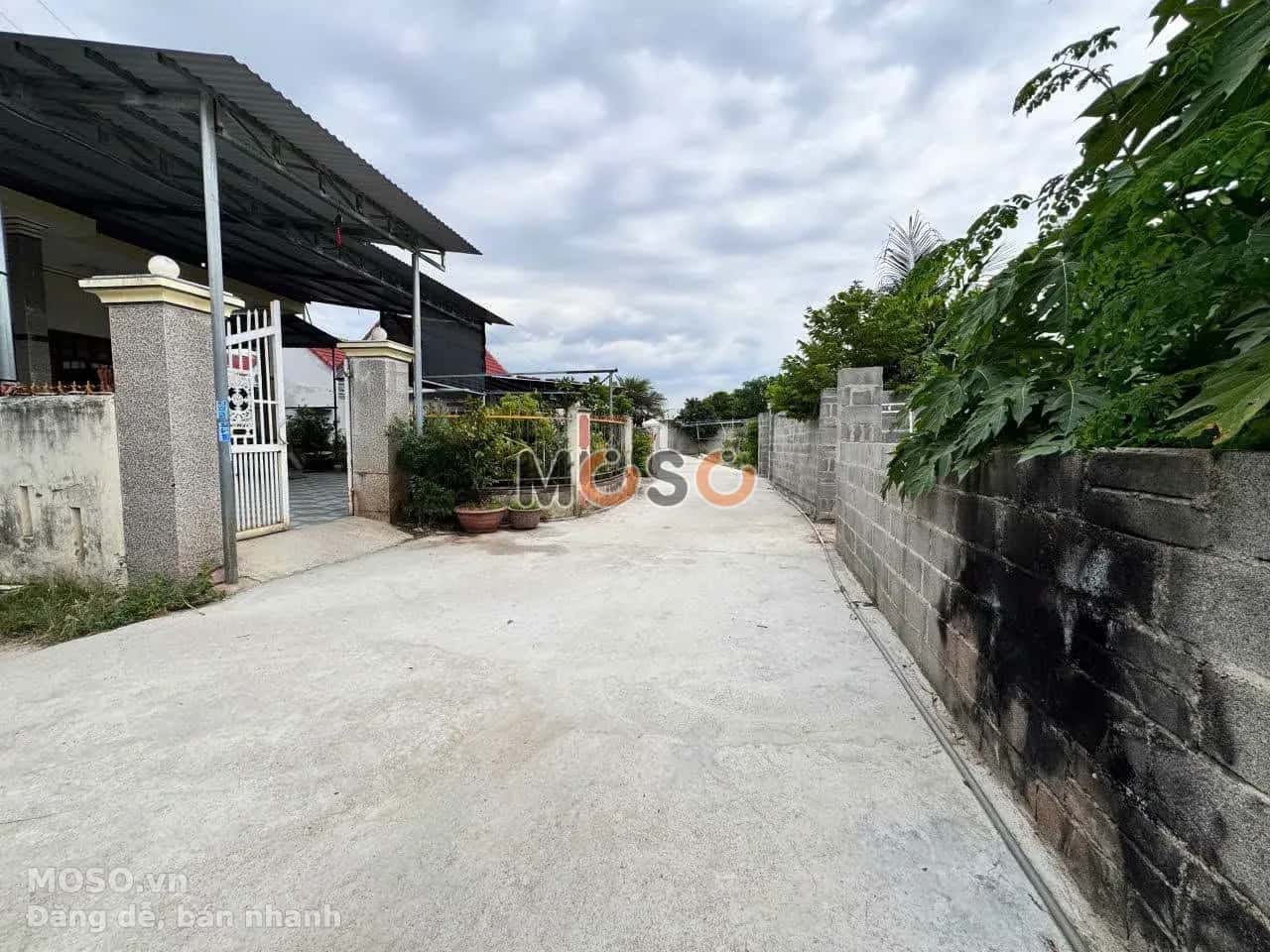 Bán đất Thôn Phước Trạch Huyện Diên Khánh, Khánh Hòa – giá 1.1 tỷ - ảnh 3