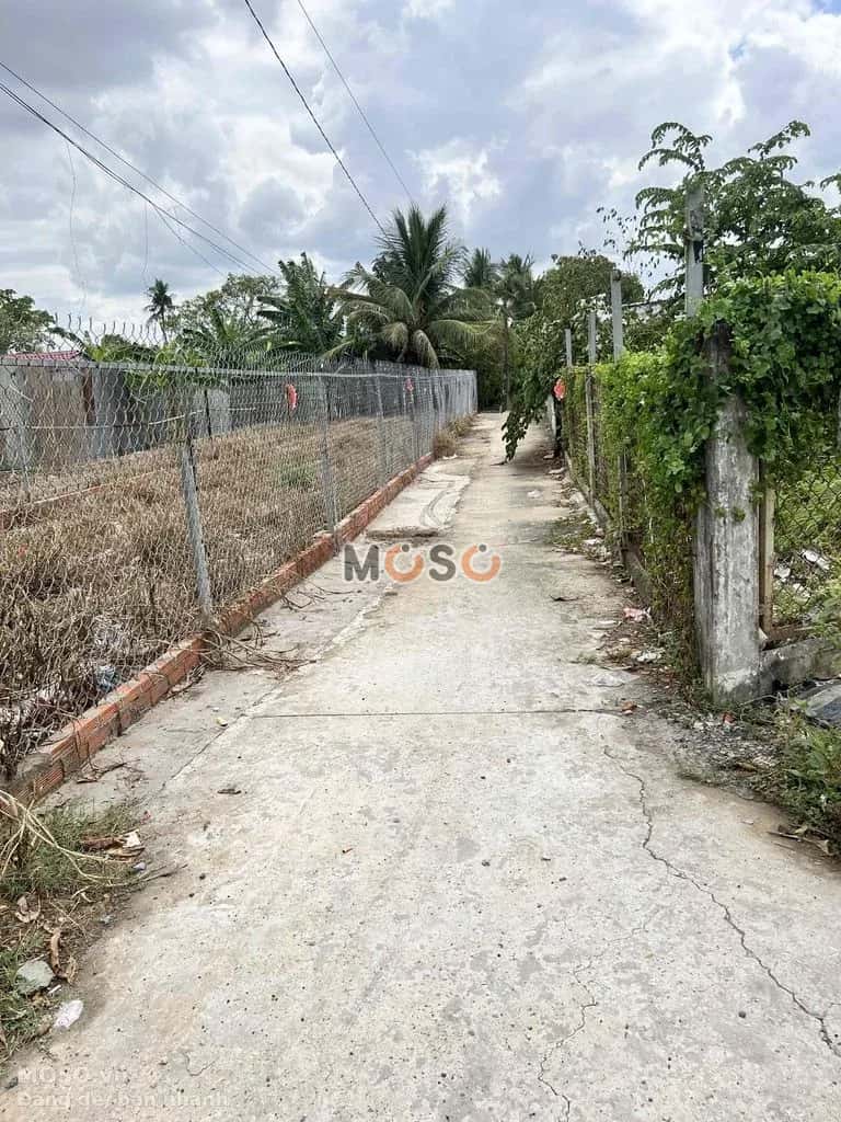 Bán đất Đoàn Nguyễn Tuấn  Huyện Bình Chánh, TP.HCM – giá 4.2 tỷ - ảnh 3