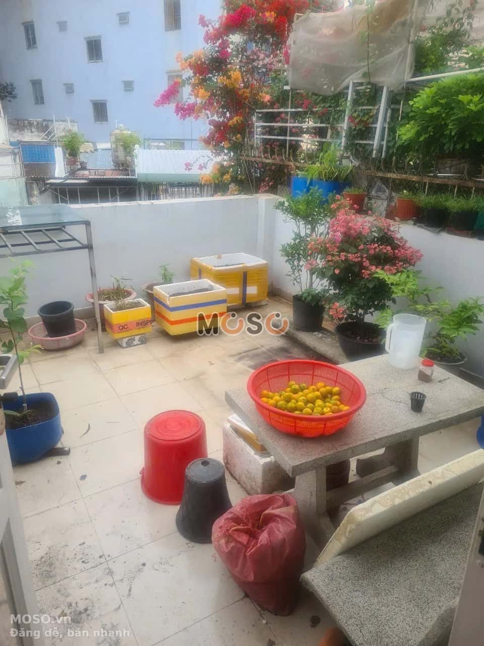 Bán nhà hẻm Trần Phú Quận 5, TP.HCM – giá 9.5 tỷ - ảnh 3