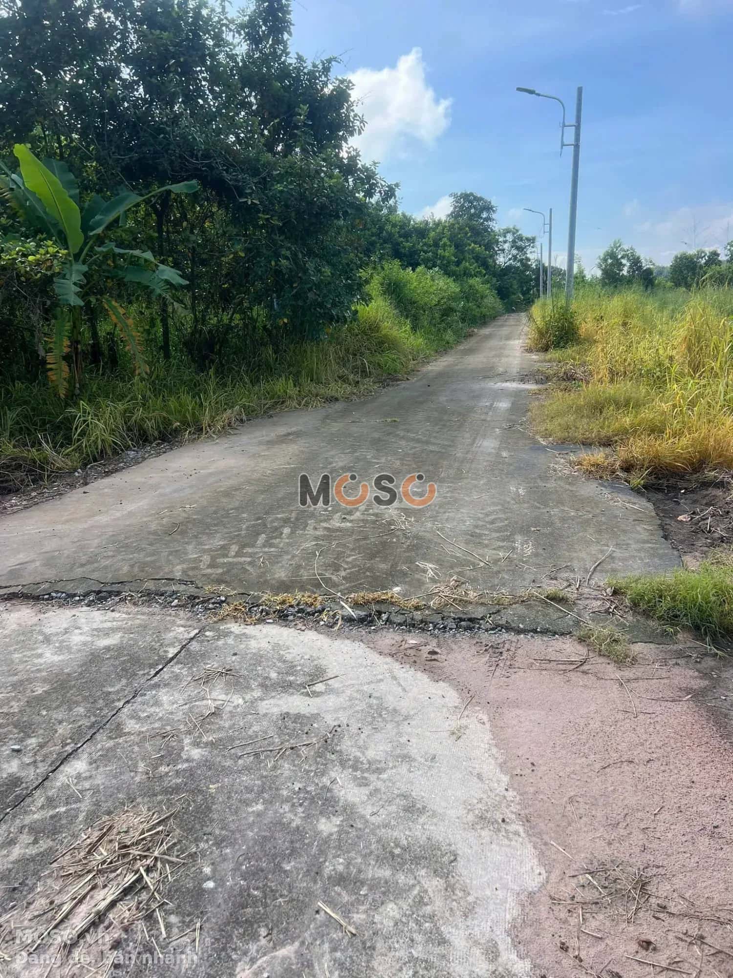 Bán đất đường Trừ Văn Thố 57 Huyện Bàu Bàng, Bình Dương – giá 580 triệu - ảnh 2