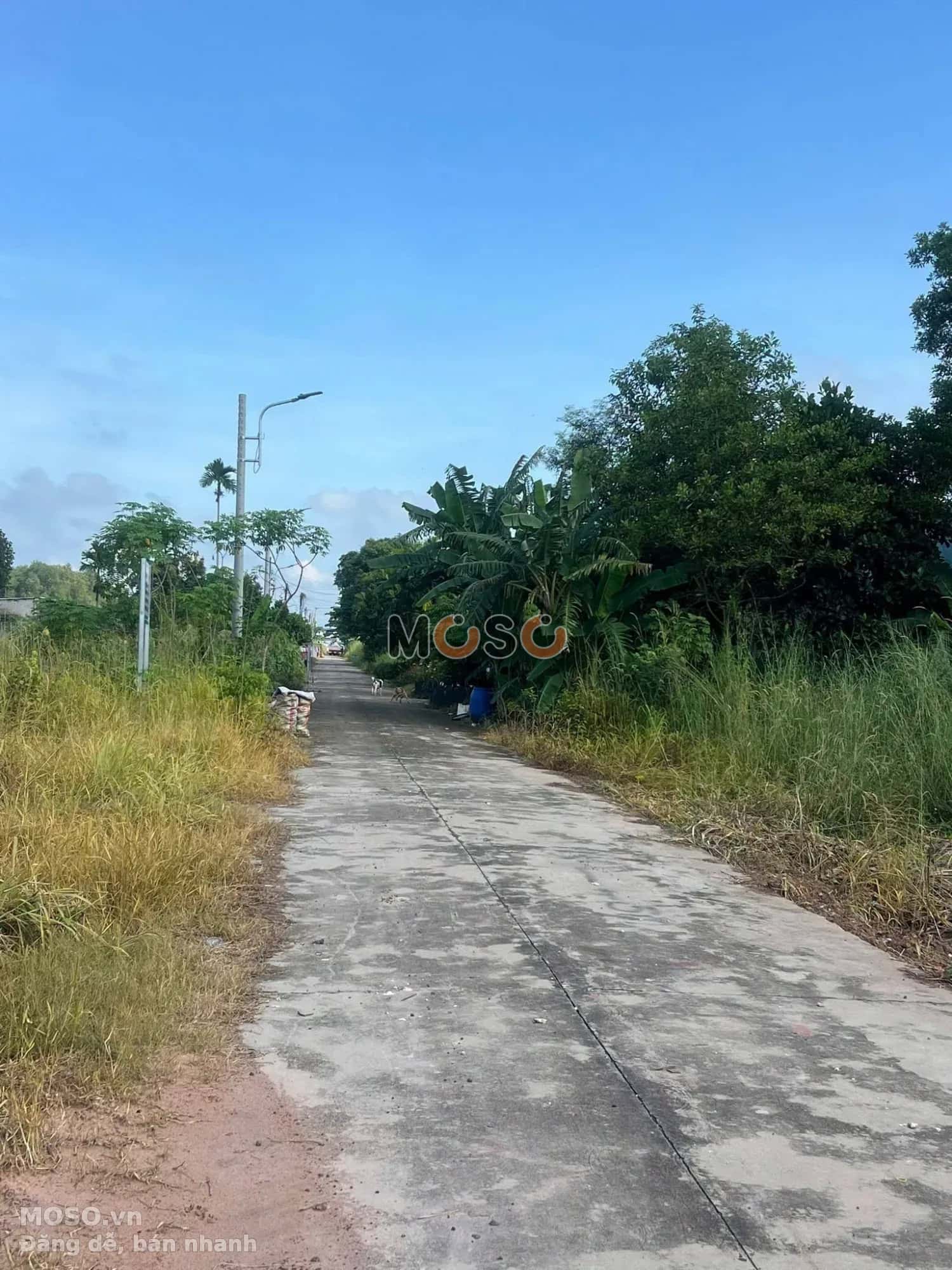 Bán đất đường Trừ Văn Thố 57 Huyện Bàu Bàng, Bình Dương – giá 580 triệu - ảnh 3