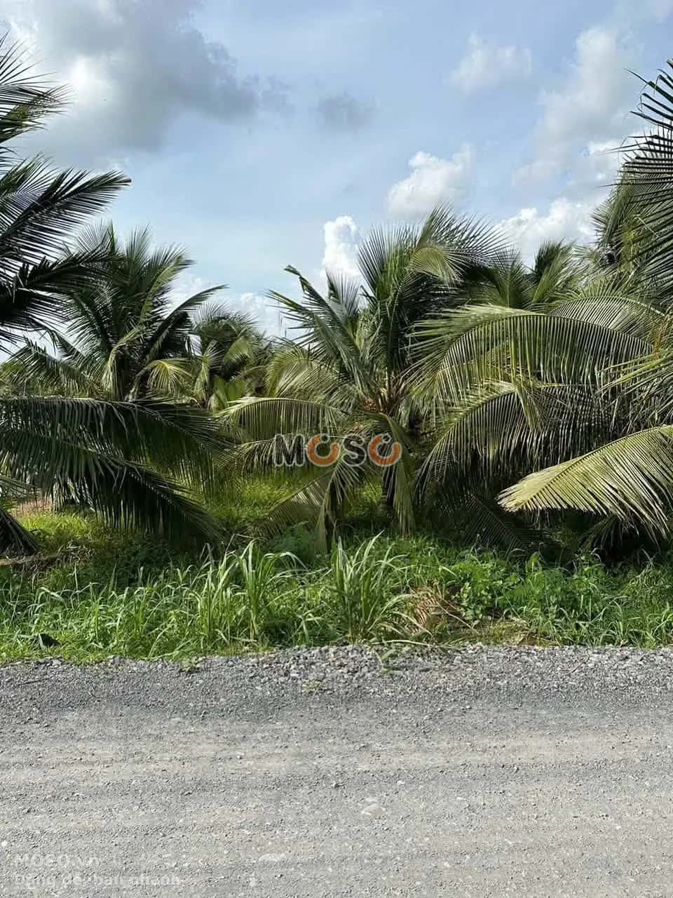 Bán đất Khu Phố Nhơn Hậu Thành phố Tân An, Long An – giá 22 tỷ - ảnh 1