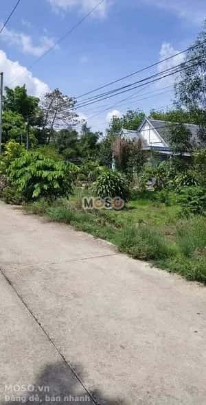 Bán đất đường Cây Trường  Huyện Bàu Bàng, Bình Dương – giá 699 triệu - ảnh 1