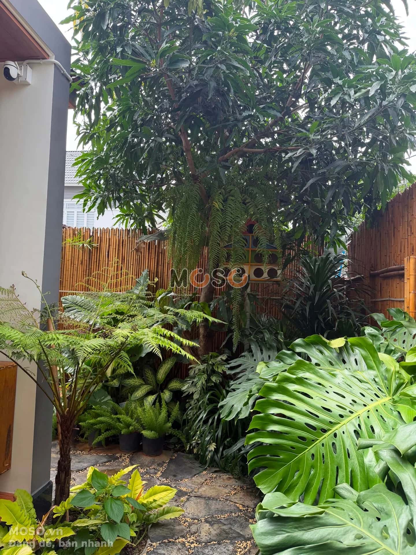 Bán nhà mặt tiền Nguyễn Bỉnh Khiêm Thành phố Dĩ An, Bình Dương – 2 phòng ngủ, giá 24 tỷ - ảnh 5