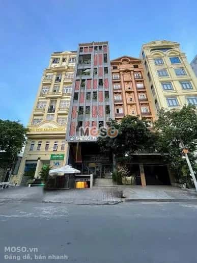Bán nhà hẻm Cao Thị Chính Quận 7, TP.HCM – 35 phòng ngủ, giá 50 tỷ - ảnh 1
