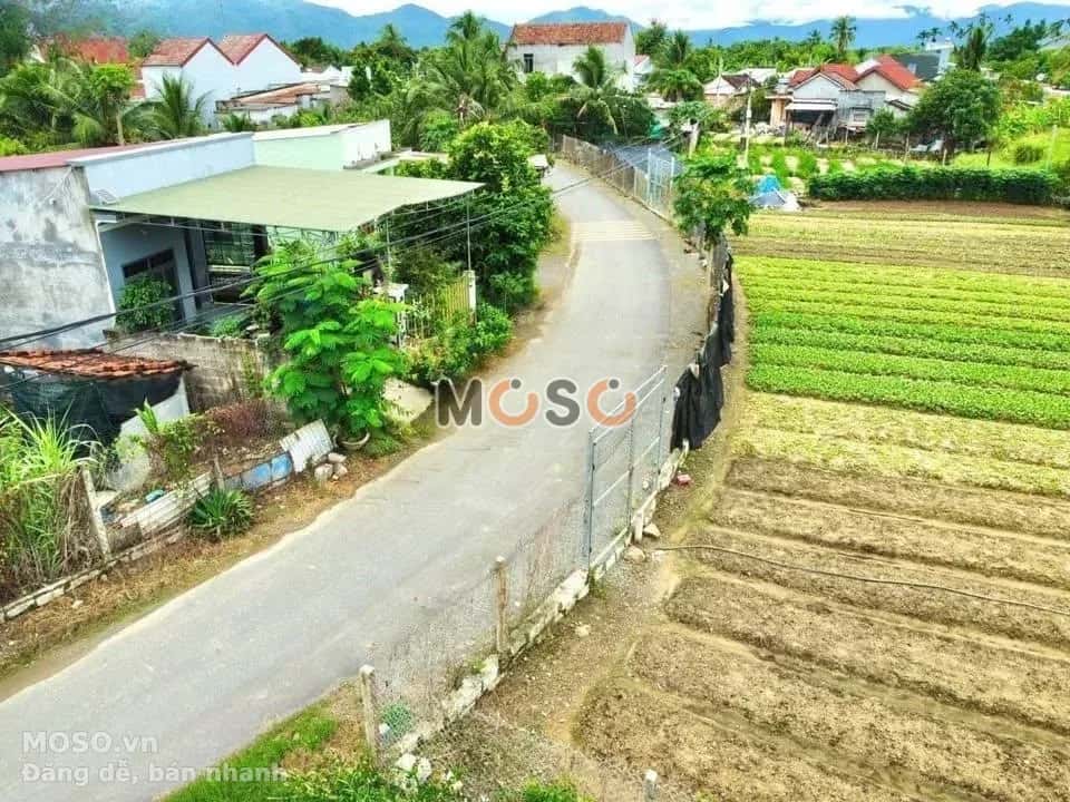 Bán đất Đường Ấp Tân Sinh Huyện Diên Khánh, Khánh Hòa – giá 1.3 tỷ - ảnh 2