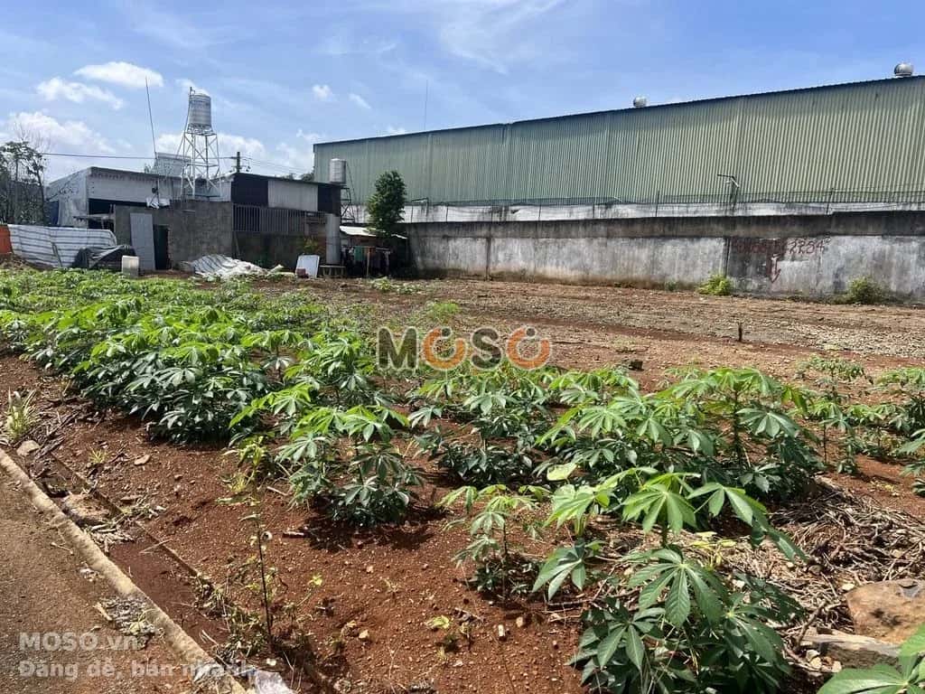 Bán đất Tây Hòa 5 Huyện Trảng Bom, Đồng Nai – giá 1.8 tỷ - ảnh 1