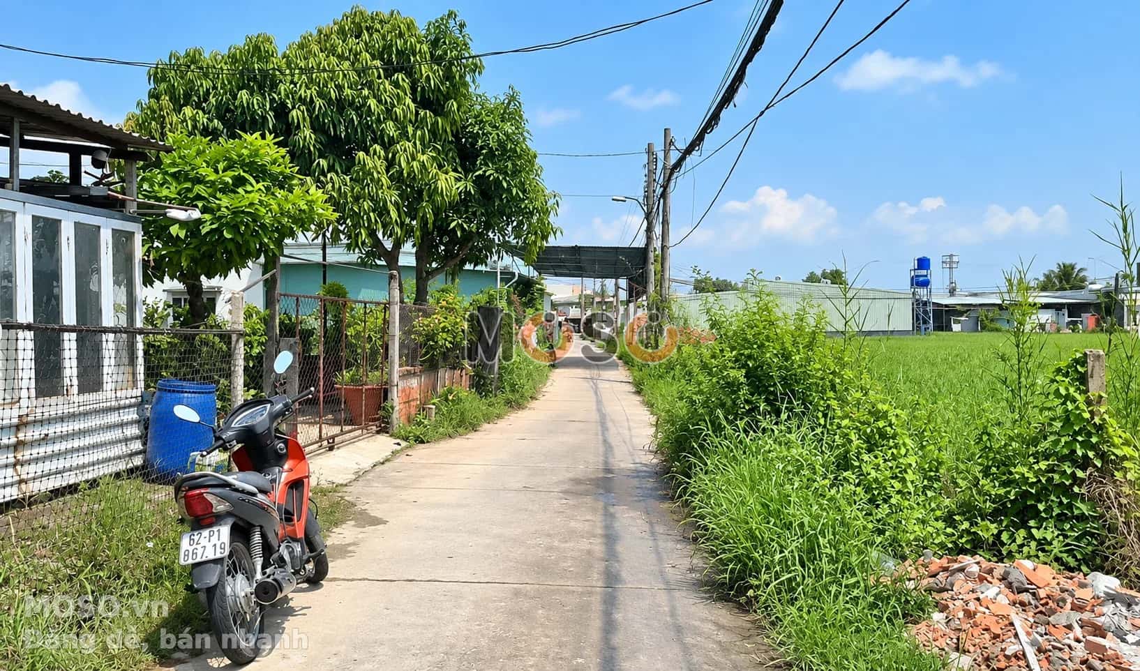 Bán đất Gò Hưu Huyện Đức Hòa, Long An – giá 2.3 tỷ - ảnh 2