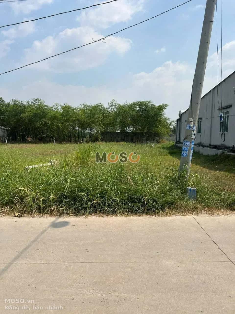 Bán đất Hẻm Hồ Chí Minh Huyện Đức Hòa, Long An – giá 1.1 tỷ - ảnh 2