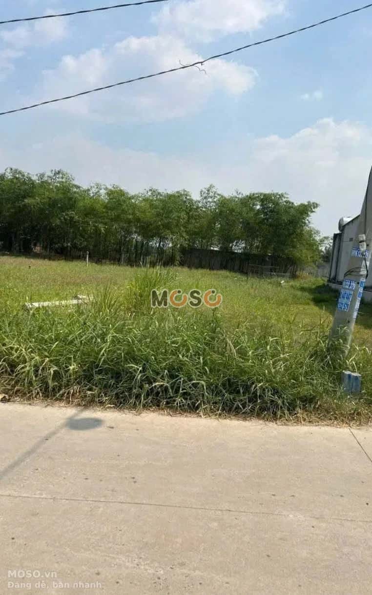Bán đất Hẻm Hồ Chí Minh Huyện Đức Hòa, Long An – giá 1.1 tỷ - ảnh 3